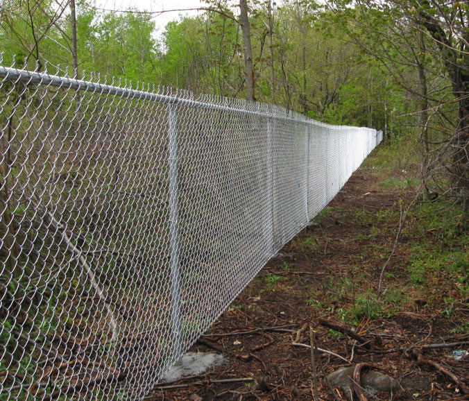 chainlink fence by Black Sheep Fencing