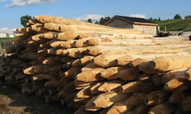 Cedar peeled posts for sale in the Owen Sound and Grey Bruce areas